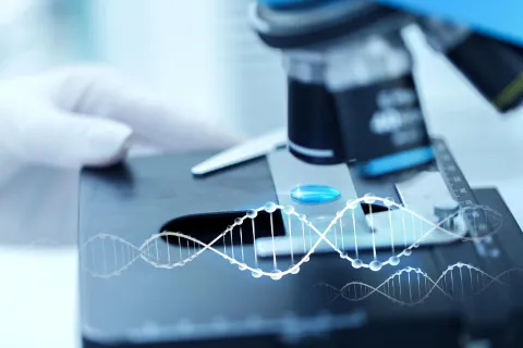 Clinical trials and their phases?